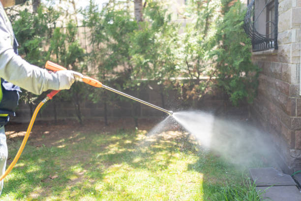 Best Pest Prevention Services  in Rmichael, CA